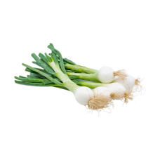 Spring onion