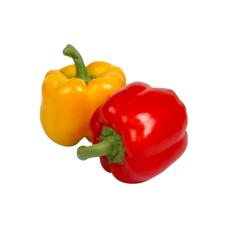 Color capsicum