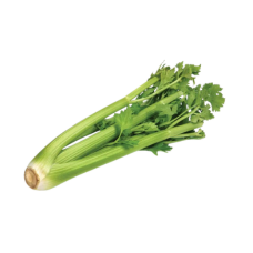 Celery