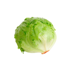 Iceberg Lettuce