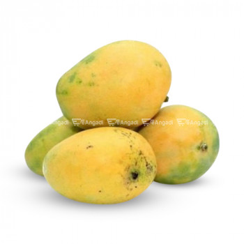 Mango- Imam