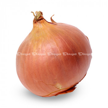 Onion