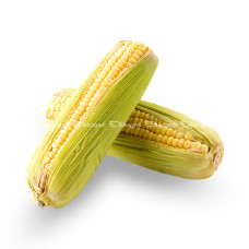 Sweet Corn - Cob
